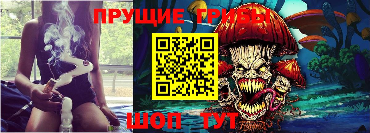 Галлюциногенные грибы Psilocybe  Галлюциногенные грибы Psilocybe  Вход с VPN  Ачхой-Мартан 