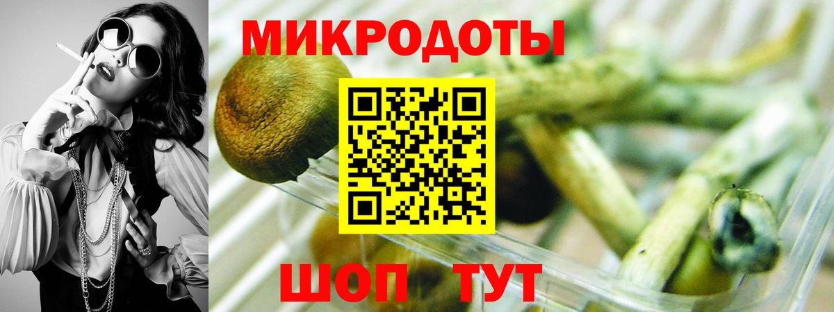 Галлюциногенные грибы MAGIC MUSHROOMS Ачхой-Мартан